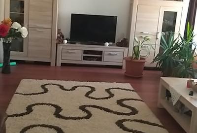 LUMINA - VILA P+1+M -300MP UTILI - 5 CAMERE -- TERMEN LUNG -1500 EURO - 13