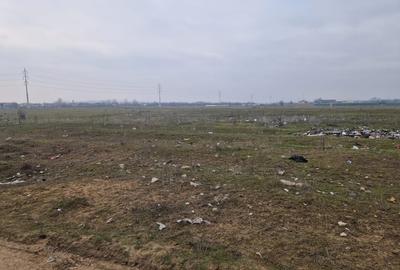 Teren Construcții extravilan de 726 mp, în Cernele - 2