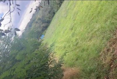 Teren Construcții intravilan de 534 mp, în Nord-Vest - 3