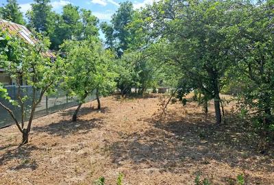 Casa de vinzare cu teren de 2636 mp ieftina la Gherghita pozitie excelenta pentru vila - 4