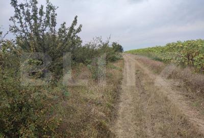 Teren de 6291 mp, în Leamna de Jos - 2