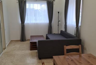 Duplex cu 3 camere cu Teren 12 Mp în Banu Manta - 3