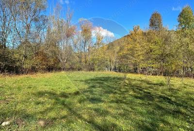 Teren de vanzare Cuiejdel 1350 mp - 7