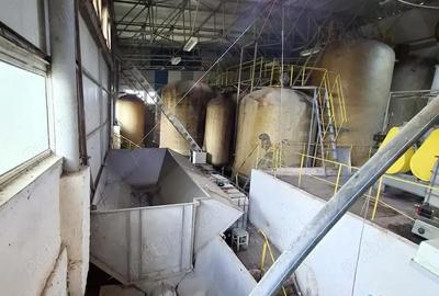 Crama de vanzare Odobesti -Vartescoiu - 7