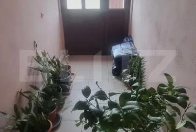 Casă cu 8 camere cu Teren 28000 Mp în Baba Ana - 16