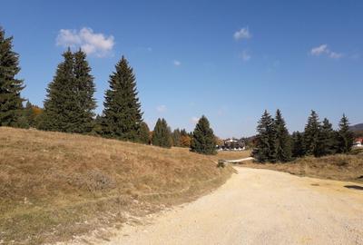 Ocazie unica la licitatie: Teren cu Potential Turistic Major in Poiana Brasov - 2