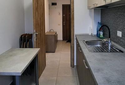 Apartament cu 2 camere decomandat în Dobroești - 16