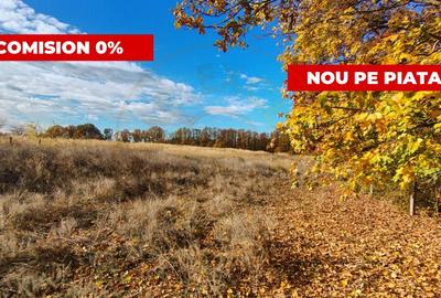 Teren Construcții intravilan de 10200 mp, în Moșoaia - 1