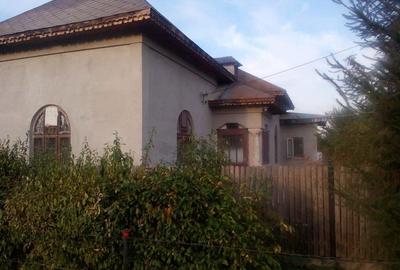 Casă cu 4 camere cu Teren 5000 Mp în Mircea Vodă - 8