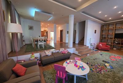 Dristor, Camil Ressu, 15 minute metrou, pe strada Ilioara - 5