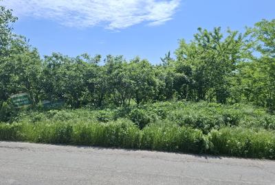 Teren Construcții intravilan de 2720 mp, în Buturugeni - 9