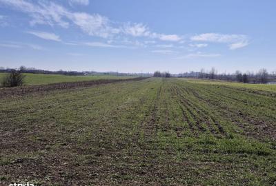 Spațiu comercial, în Trestieni - 13