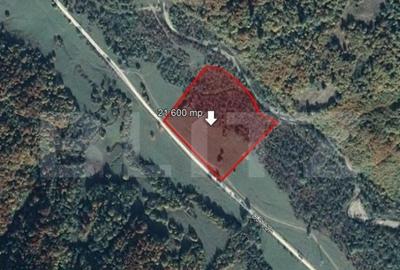 Teren 21.600 mp, Valea Zizinului - 1