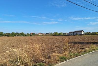 Snagov- Ciofliceni, loturi de casa intre 504-670mp, Șerban Cantacuzino! - 4