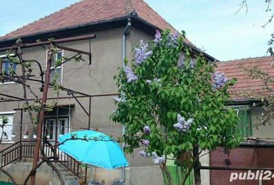 Casă cu 5 camere cu Teren 2300 Mp în Săcueni - 10