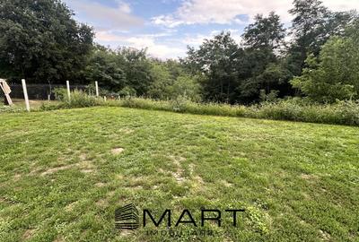Teren intravilan, CU+AUT, 600mp zona Turnisor