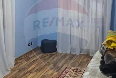 Casă cu 7 camere cu Teren 3141 Mp în Ploștina - 14