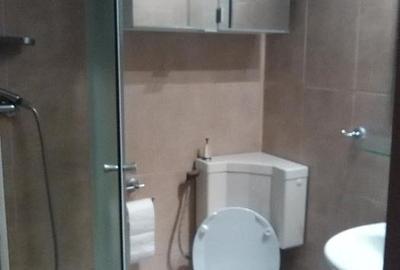 Bd. Unirii, central, Piata Alba Iulia, str. Moise Nicoara, renovata, tv - 6