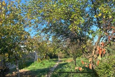 Casă cu Teren 809 Mp în Fântânele - 6