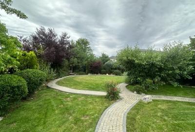 Casă individuală cu 4 camere cu Teren 1300 Mp în Snagov - 3