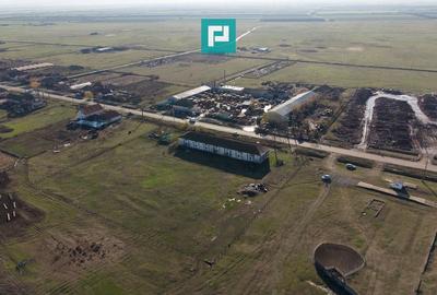 Hală industrială cu teren generos în Zărand, Arad - 47