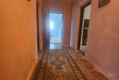 Casă cu 1 camere cu Teren 3000 Mp în Central - 10