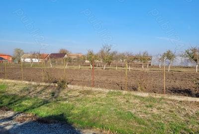 Teren de 1414 mp, în Sânpetru Mare - 6