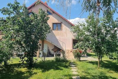 Casă cu 7 camere cu Teren 5000 Mp în Siliștea - 2