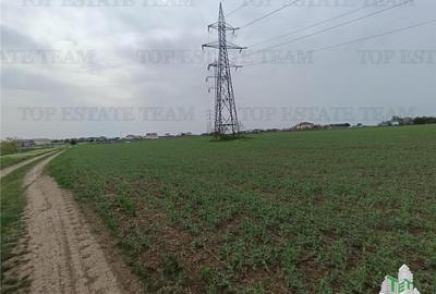 TEREN 10000 MP, ZONA SERE - 4