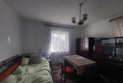 Casa cu teren de 3.500 mp in Santana! Ideal pentru proiect rezidential! - 10