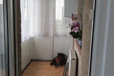 Apartament cu 4 camere decomandat în Micălaca - 6