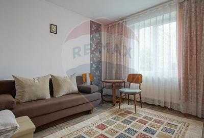 Apartament cu 2 camere de inchiriat, bd. Vlahuta - 11