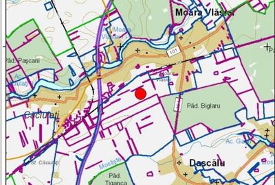 Teren de vanzare in Moara Vlasiei - 7170 mp - aproape de Padurea Biglaru - 7