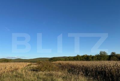 Teren extrvilan 1400mp in Branisca - 2