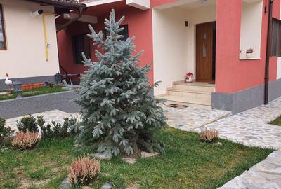 Spațiu comercial, de 159 mp, în Central - 16
