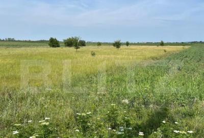 Teren extravilan, 4.994 mp, Targoviste - 3