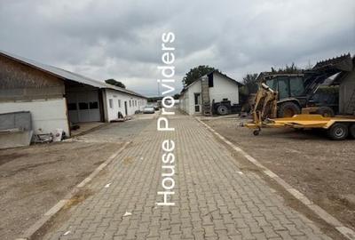 Vanzare  2 Hale Spatii Industriale Puchenii Mari - 5