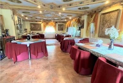 Pensiune complet utilată în Predeal, teren de tenis, garaj 4 mașini - 7