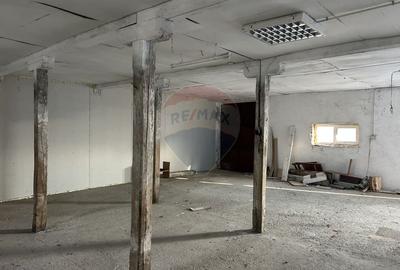 Spatiu industrial de 350mp de inchiriat in zona Nord-Est - 10