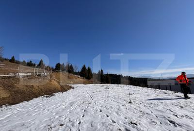 Teren de vanzare la Colibi?a cu vedere panoramica spr - 9
