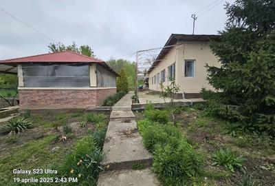 Casă cu 3 camere cu Teren 3300 Mp în Gogoșari - 2