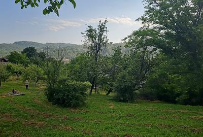 Teren Construcții intravilan de 1396 mp, în Central - 1