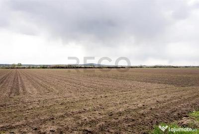 Teren de 5663 mp, în Oșorhei - 2