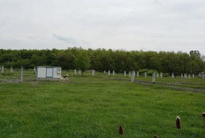 Teren de 543 mp, în Gepiu - 11