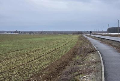 Teren 15000 mp intr. in Scrovistea langa Snagov - 3