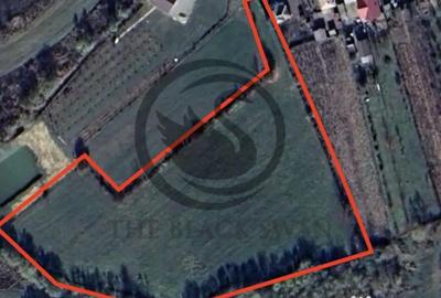 Teren de 11000 mp, în Ghirdoveni - 2