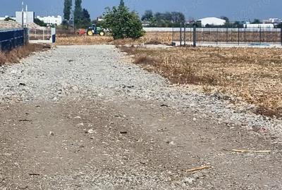 Teren de 8000 mp, în Măgurele - 3