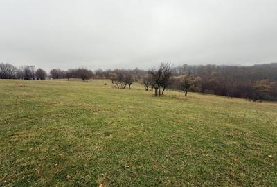 Teren spectaculos 3,5HA zona Cisnadioara - 6