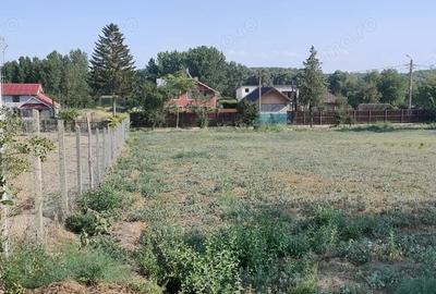 Spațiu comercial, în Borcea - 2