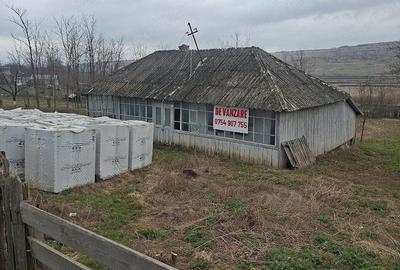 Casă cu Teren 1680 Mp în Cernești - 2